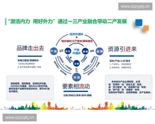 以体育孵化为中心推动产业融合创新发展与区域协同升级路径研究